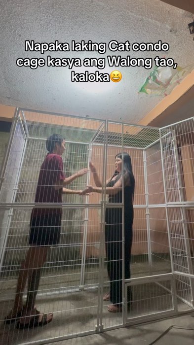 Big cat condo cage