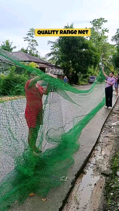 pambakod nang nga alaga nyo sis, or sa garden nyo po! murang mura!! #net #rangenet #followers #highlight #everyone #fypage #legit