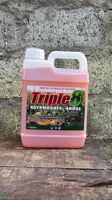 Triple 8 Glyphosate 480SL is a broad-spectrum weed killer | TRIPLE 8 GLYPHOSATE 1 GALLON #triple8 #herbicide