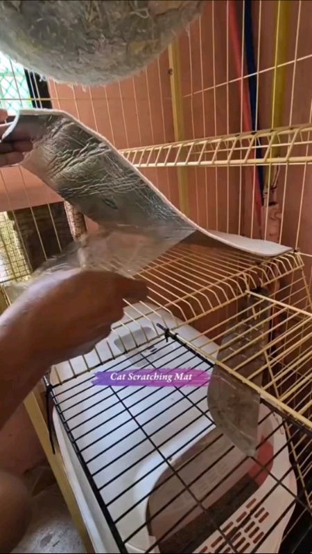 Cat Scratchings Mat mga bosss 💪💯👌 #MasMuraSaShopee #shopeemademebuyit #freecoinshopeevideo #shopeefinds #catmat