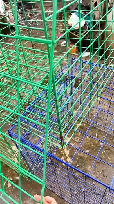 MAy-Ann🛒🧿 Mura at matibay p#chickenscratchespen#chickencage #chickenpen