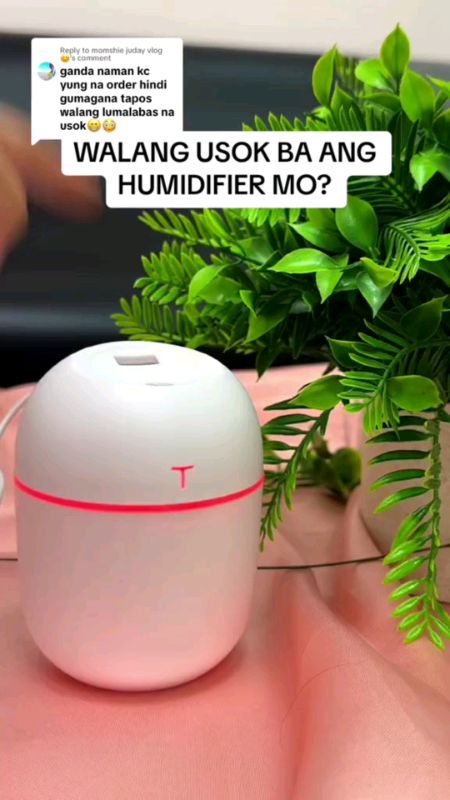 Mini white ultrasonic air humidifier#somethingyoudeserve #FreeCoinsInShopeeVideo #ShopeePHPaydaySale #humidifier