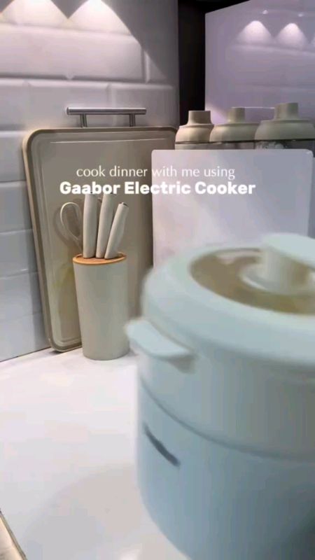 【New Arrival】Gaabor 3L Multi-Functional Electric Large Capacity All-in-One Cooking Pot 360° Heating