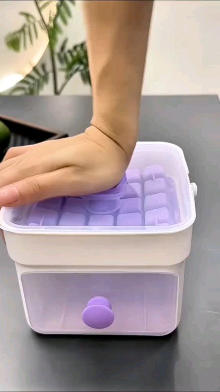 Ice Tray with Lid #MasMuraSaShopee #ShopeePHPaydaySale #FreeCoinsInShopeeVideo