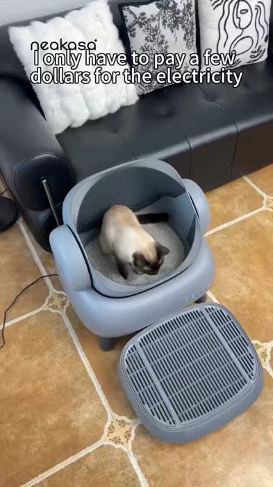 Keep your home fresh and your cat happy.😽 Happy pet, happy fur mom! Get yours today. Click to order now! #automaticcatlitterbox #catlovers