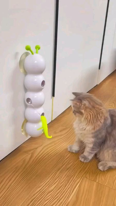 Check out Interactive Cat Teaser Toy, Light Sensor Smart Caterpillar Wand with Suction Cup for Indoor Cats. #MasMuraSaShopee #FreeCoinsInShopeeVedio