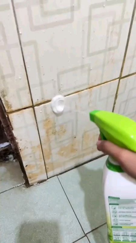 #seaways #allpurpose #cleaner Strong #Decontamination Descaling Oven #cleaning #spray #angdalisashopee #shopeesale #checkoutna