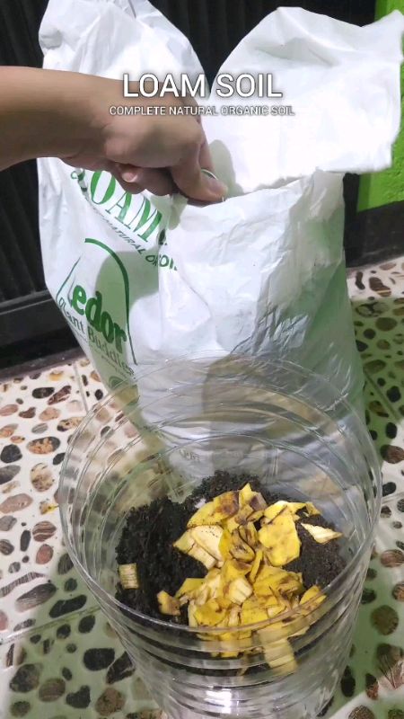 loam soil#loamsoil #plants #plantita