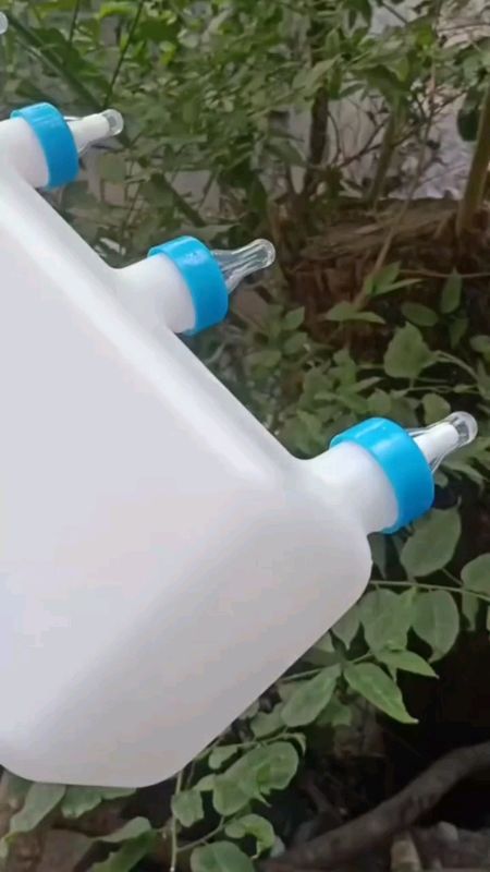 Piglet milk feeder #pigletmilkfeeder #milkfeeder #milk #piglet
