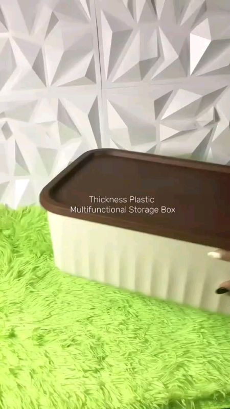 Storage Box Plastic basket#storagebox##plastic#multifunctional#freecoininshopeevideo #masmurasashopee