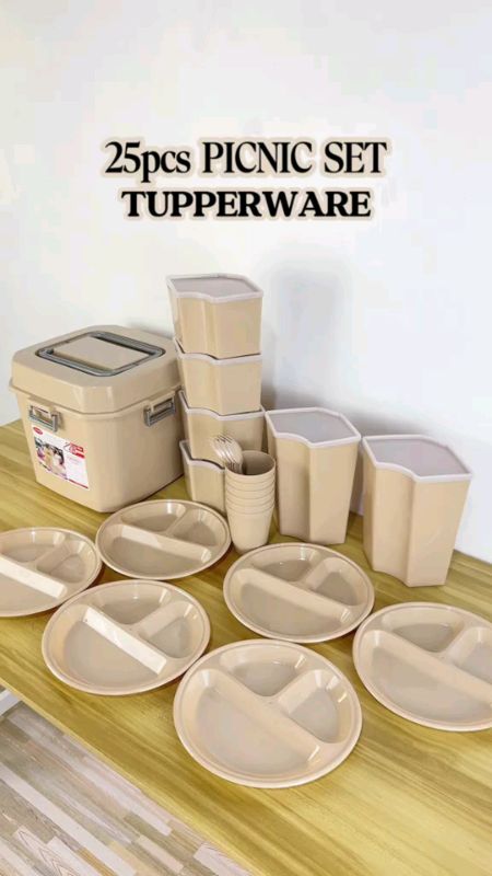 Nikko 25 in 1 Picnic Set with Cutlery/Divider Plate and Sealed Storage Container