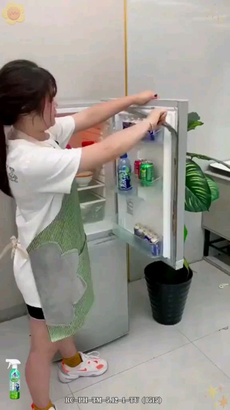 Fridge Deodorizer Refrigerator Cleaning Spray 99% Antibacterial Magic