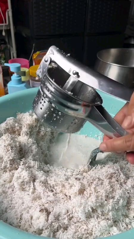 Stainless Steel Handy Fruit Manual Juicer Potato Ricer Masher Food Mill Fruit Presser Juicer Extractor