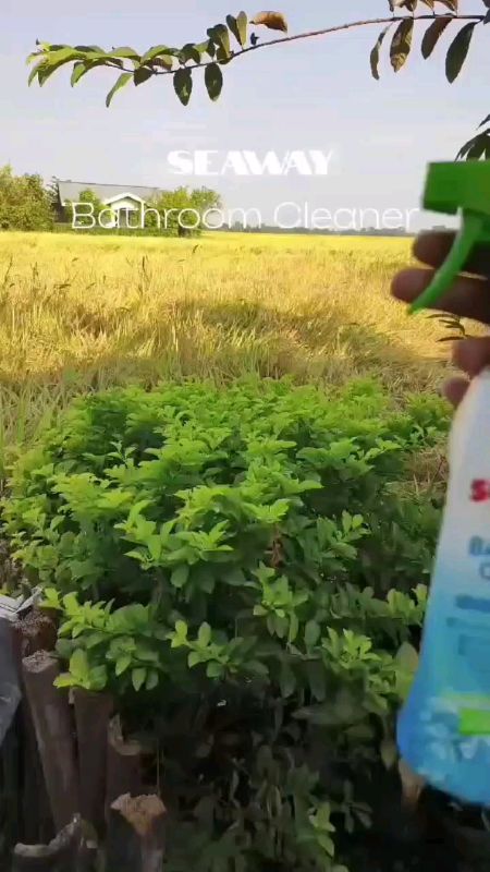 Seaways Bathroom Cleaner Toilet Bowl Cleaner Cement Stain Remover Glass Watermark Remover #FreeCoinsInShopeeVideo