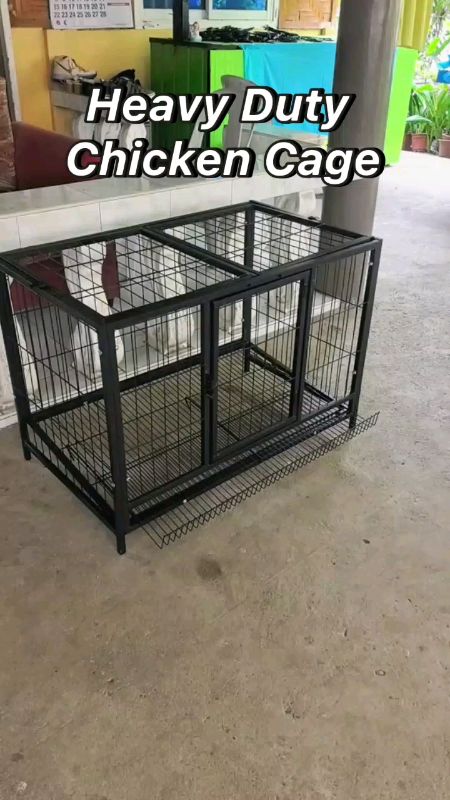 Heavy Duty Chicken Coop Cage with Automatic Egg Collection Large Chicken House #FreeCoinsInShopeeVideo #MasMuraSaShopee #ShopeePHPaydaySale