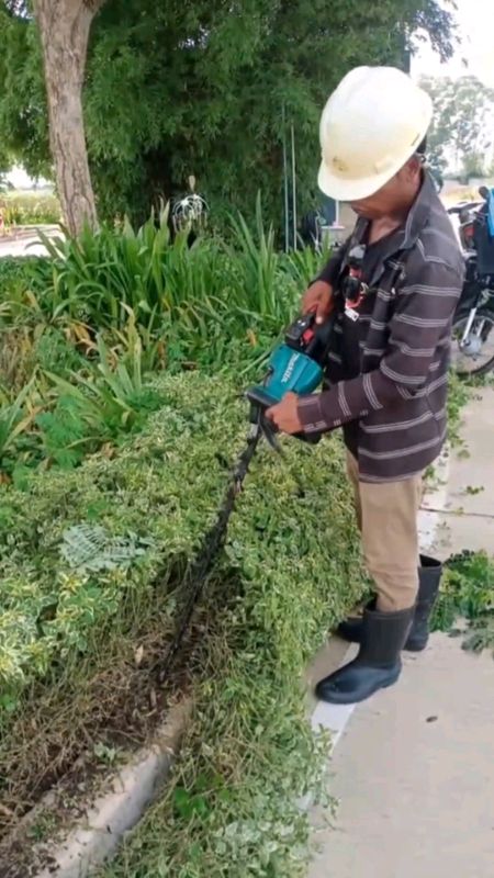 cordless hedge trimmer#cordlesshedgetrimmer#hedgecutting#hedgetrimming#gardeningtools#fyp#foryou