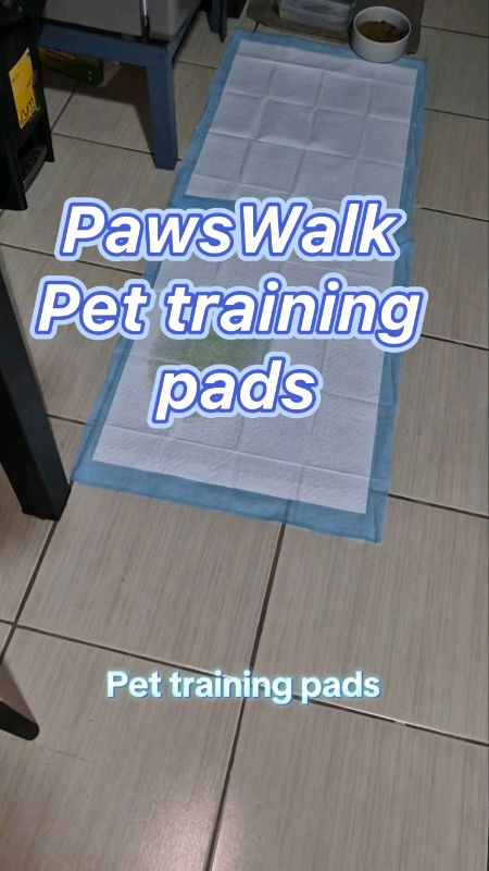 【Buy 1 Take 1】PawsWalk Pet New Land Pet Training Pad Per Pack Dog Diaper Dog Pee Pads #pettrainingpads #pawswalk #XtraChallenge