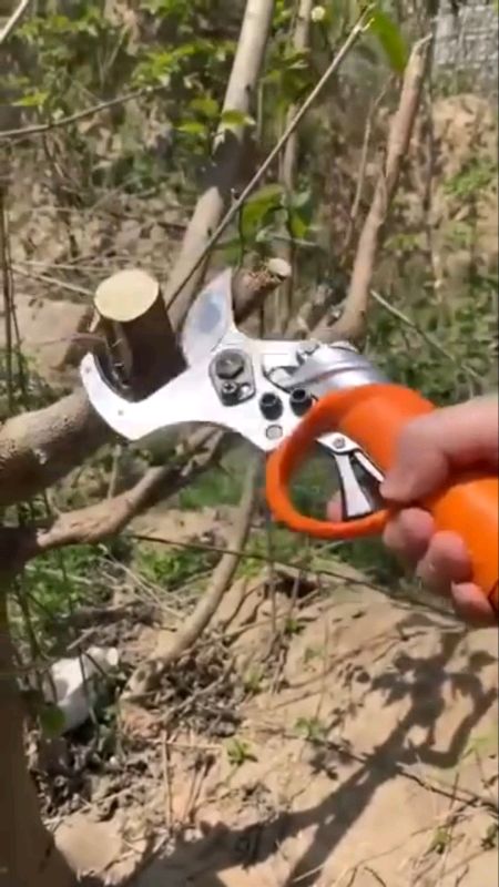 Gardening Shears High Carbon Steel Scissors Branch Cutter Plant Cutter Pruning Shears Garden Tools#FreeCoinsInShopeeVideo #MasMuraSaShopee