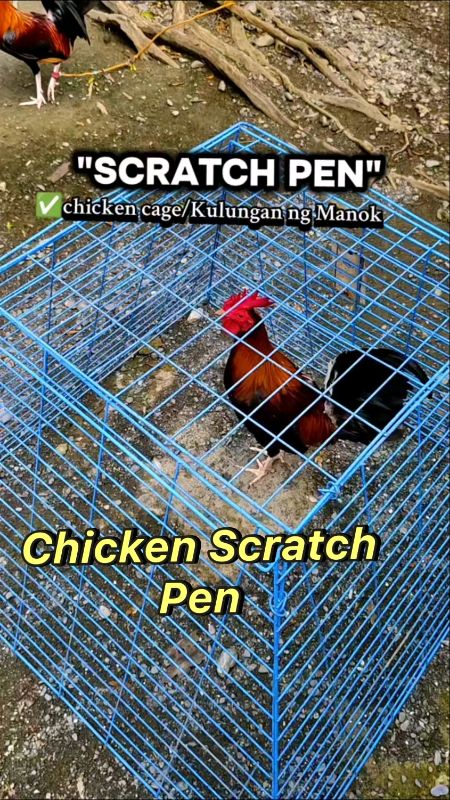 #ChickenScratchPen #ChickenCage #KulunganngManok