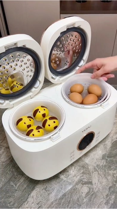 Multifunction Double Bile Rice Cooker with Steamer #multifunction #DoubleBile #ricecooker #smallappliances #Kitchen #useful #saingan #electric #trendy