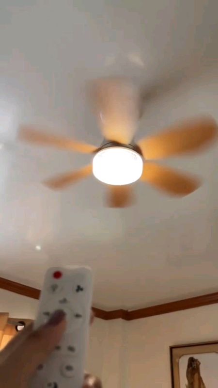 ceiling fan with led light and remote control #ledlight #ceilingfanwithlight #MasMuraSaShopee #FreeCoinsInShopeeVideo