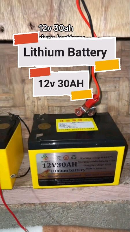 12V30Ah Lithium Battery with BMS for Backpack Sprayer UPS Audio System & Solar Power Systems #FreeCoinsInShopeeVideo #MasMuraSaShopee