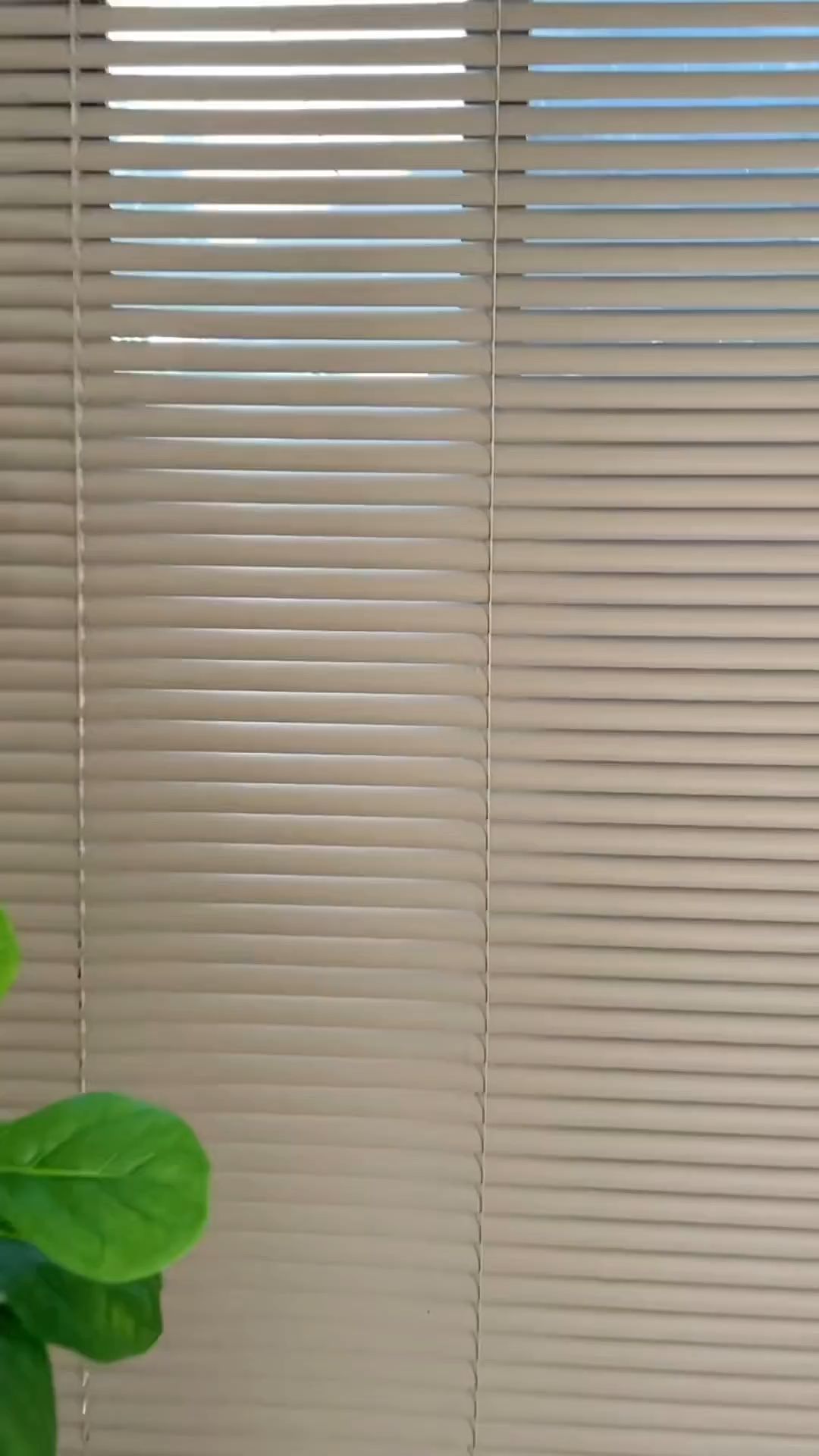 #blinds #pvcblinds
