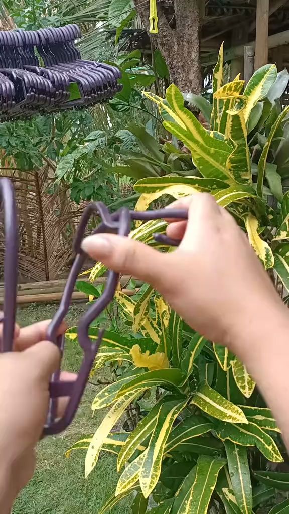 Flexible Hanger