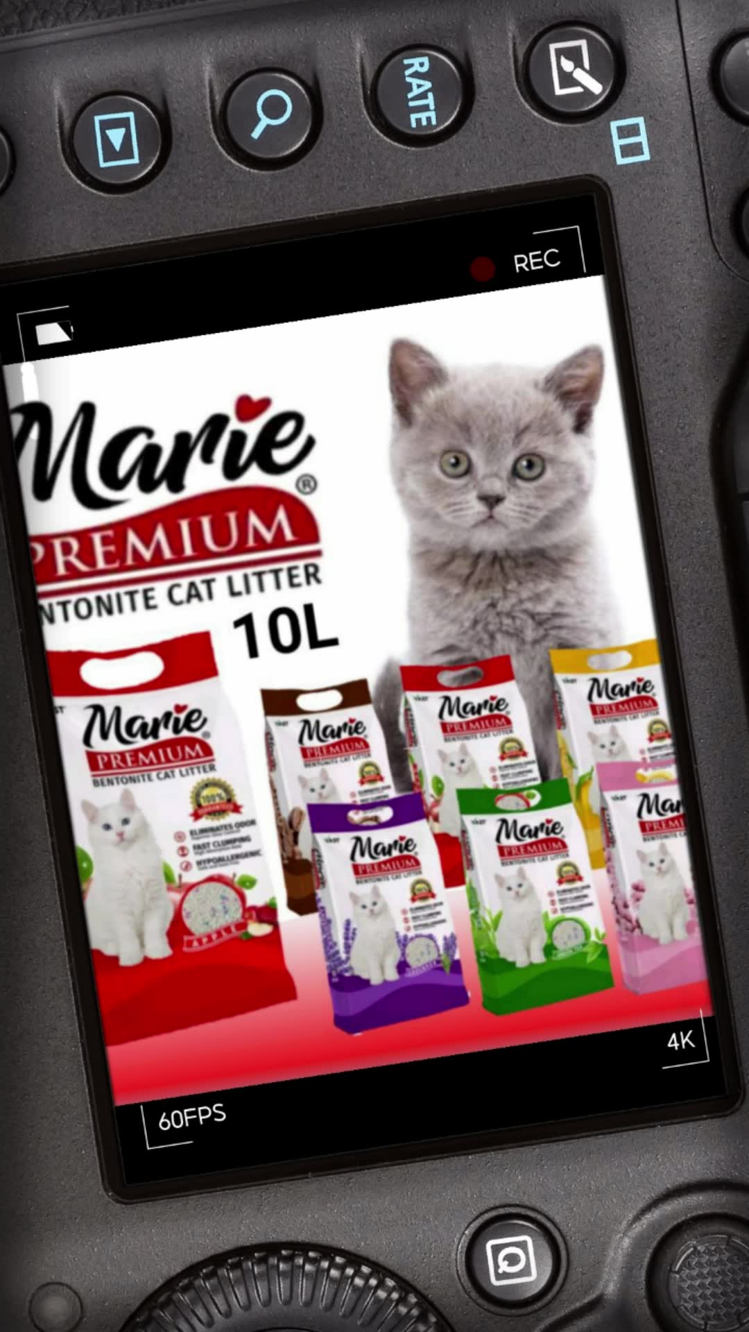 Marie Premium Cat Cats Litter Sand All Stages Adult Kitten Pet Clumping Absorbent Easy Clean #FreeCoinsInShopeeVideo #MasMuraSaShopee